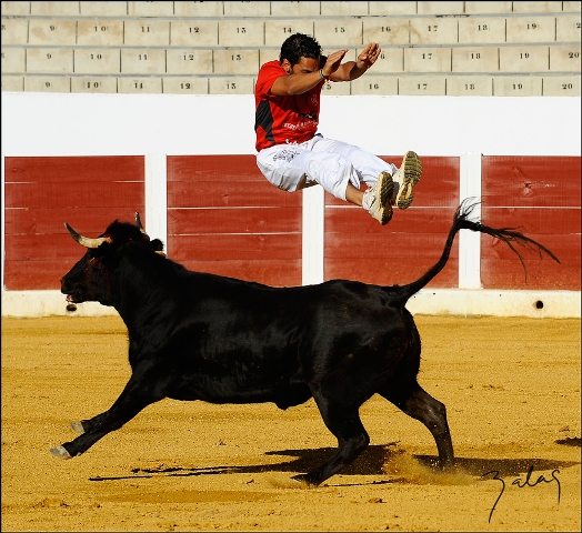 'El Niño de Badajoz', saltando por encima del novillo.