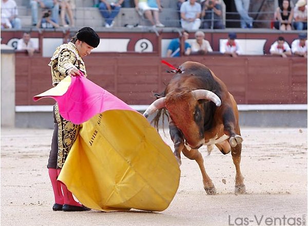 Verónicas a pies juntos para recibir al condeso. (FOTO: Juan Pelegrín/Las-Ventas.com)