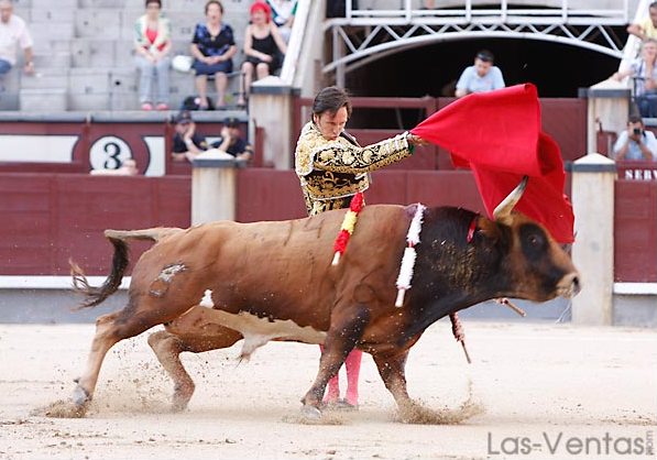 El toro pasaba como un mercancías. (FOTO:Juan Pelegrín/Las-Ventas.com)