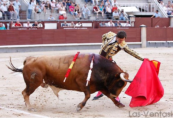 Para ganarle la partida al natural.(FOTO:Juan Pelegrín/Las-Ventas.com)