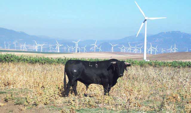 Tapatana, en donde se conjugan los molinos de viento y el toro bravo.