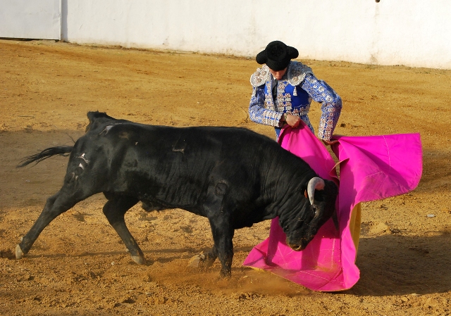 Tomás Angulo abrochando la media.