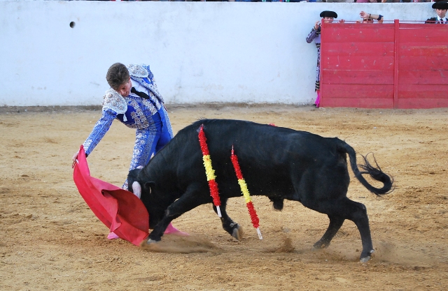 Llevó muy tapado al eral con su muleta.