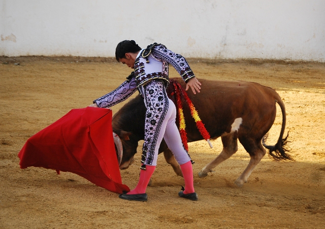 Con la muleta estuvo templado como en este de pecho.