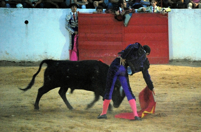 El joven valor de La Parra cimbreando la cintura.