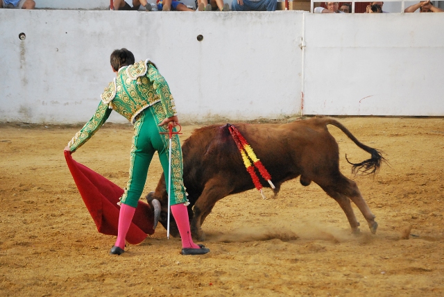 Firmeza en el natural dado ante la humillada clase del eral de Torregrande.