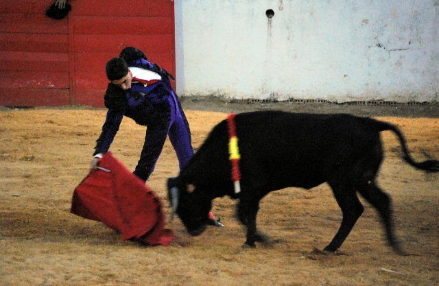 El toreo por debajo de la pala del pitón fue el denominador común ante tan buen eral.