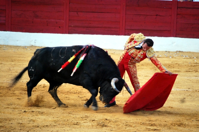 Ferrera, al natural. (FOTO:Fco. Javier Campos)