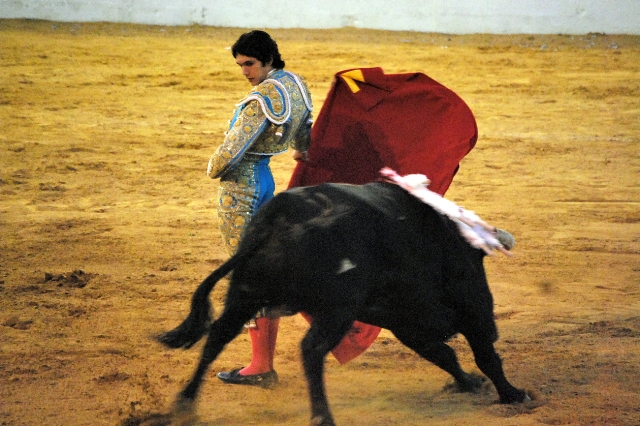 Inicio tradicional de faena en Castella. (FOTO:Fco. Javier Campos)