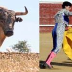 Toro de Arcadio Albarrán y brega de Fernando González.