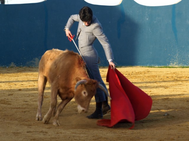 el torero manda y domina, ese gesto, esas cercanías... y el temple talavantino