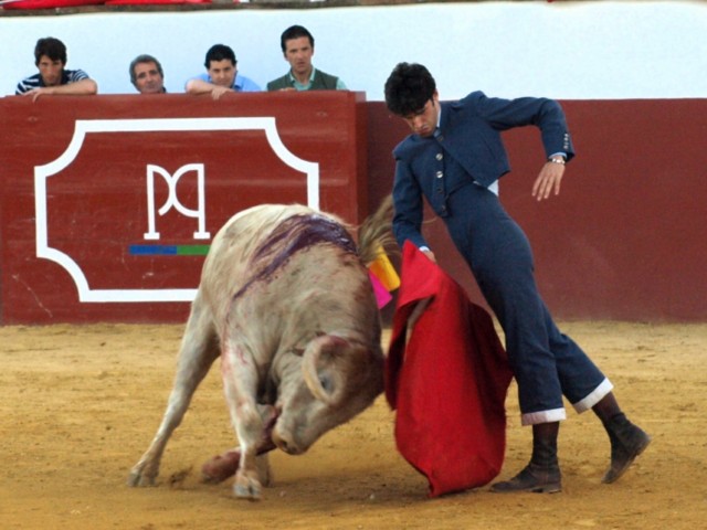 ...ese cuerpo desmayado, esa cintura que hechiza, ese duende que desprende la muñeca... qué porte, qué estampa y qué elegancia...