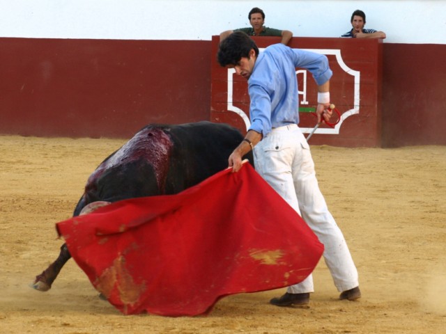 ... Un segundo en el espacio, una muleta única, un momento en la historia...la quietud del campo y Alejandro reinando...