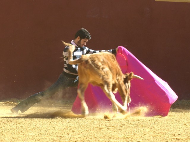 ...ese rosa capotero acaricia la pasión y el poderío del torero... qué elegancia en Talavante, firme y sereno, derrochando estampas de ensueño...