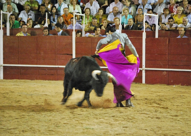 'Fini' enroscándose el novillo en la chicuelina.