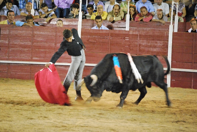 Rafael templando la embestida de su novillo. Ortega Cano le mira atentamente.