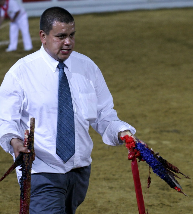 El mozo de espadas de Francisco Palha recolectando palos.