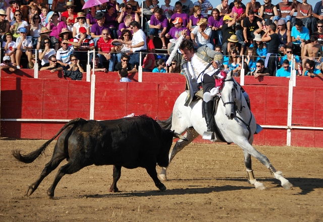 Aunque ahora el caballo se sale de la suerte. (FOTO:Fco. J. Campos)