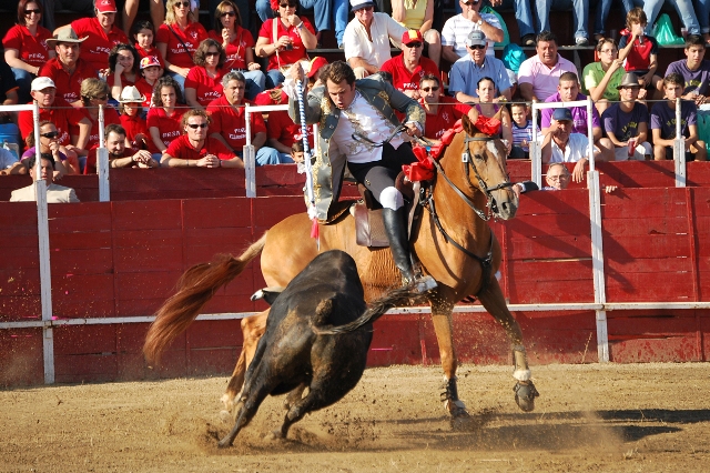 Casi a caballo parado para dejar llegar al novillo. (FOTO:Fco. J. Campos)