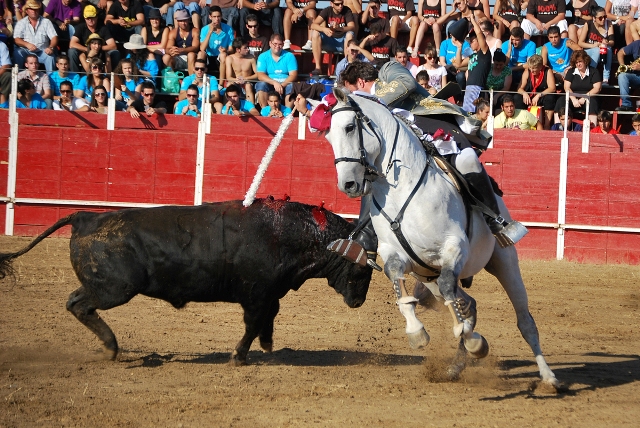 La banderilla queda en lo alto. (FOTO:Fco. J. Campos)