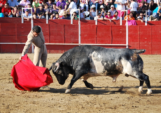 Con la derecha intentó hilvanar el toreo en redondo. (FOTO:Fco. J. Campos)