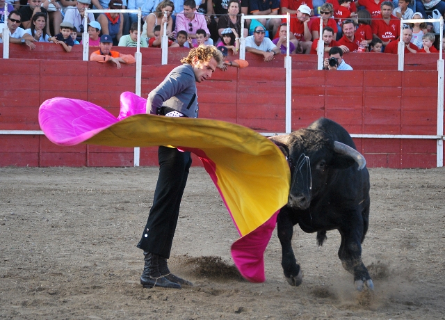 Revolera, obsérvese dónde coloca el toro la cabeza. (FOTO:Fco. J. Campos)