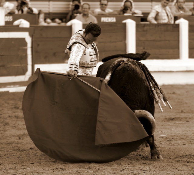 Antonio llevando muy tapado al sobrero de Vegahermosa.