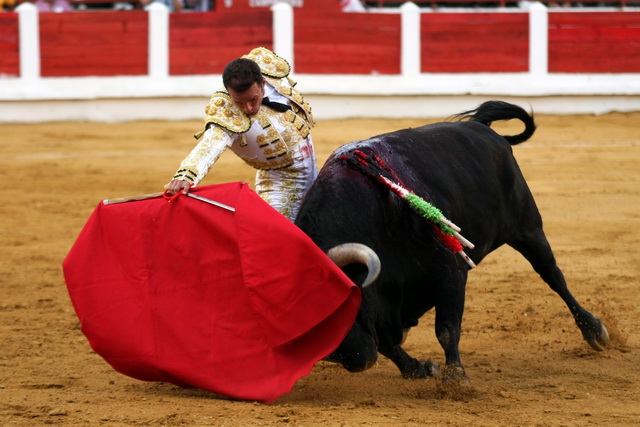 Derechazo largo, mandón, de Antonio Ferrera.