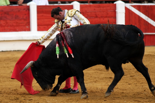 Relajación en el trazo del muletazo.