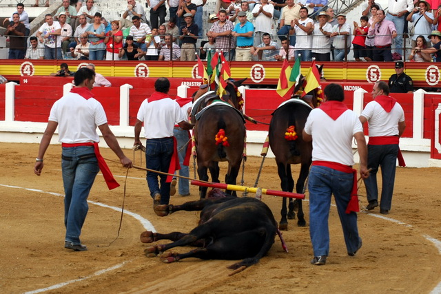 Vuelta al ruedo al segundo, admiración del respetable.