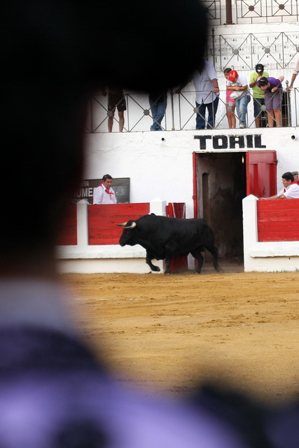 El tótem de la fiesta hace su aparición en la arena.