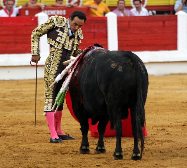 Dejándose ver para iniciar el muletazo.