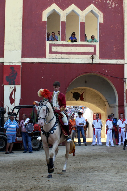 El caballo siempre suscita admiradores.