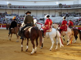 Los actuantes haciendo el paseíllo en una casi desierta plaza emeritense. (FOTO: Gallardo)