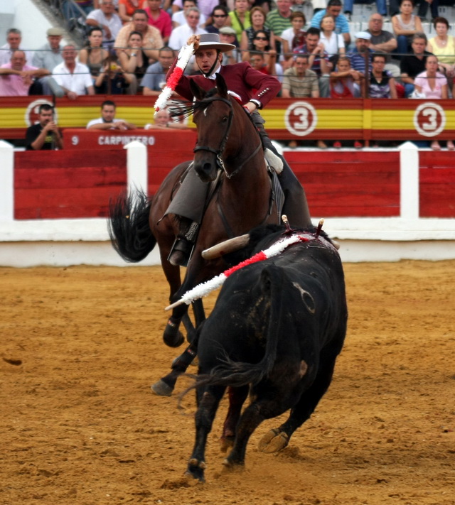 Yendo de frente al toro.