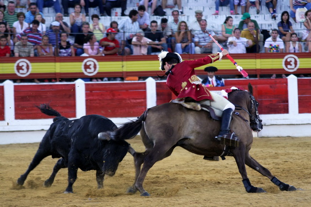 Francisco Palha, parando a su toro en círculos en el centro del ruedo.