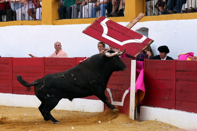 Al cielo con ellas...