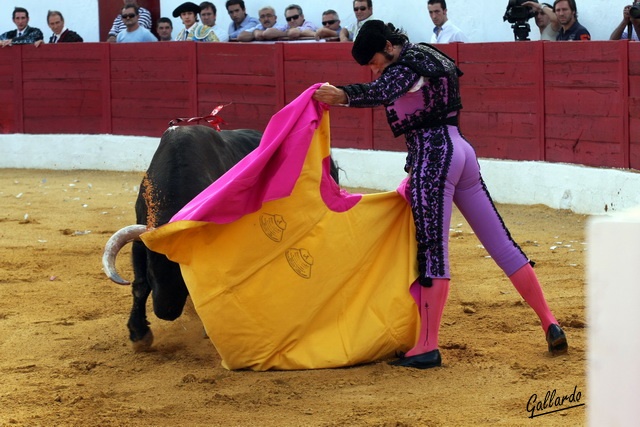 Carta de presentación de Javier Conde.