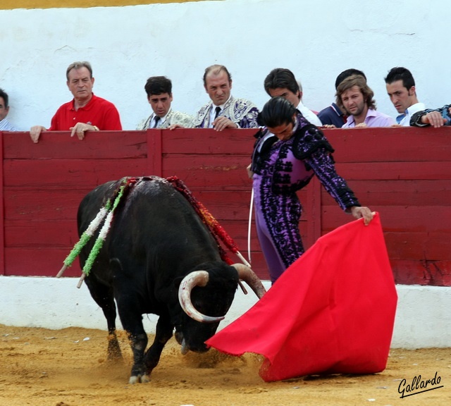 Lástima que ese arte no se canalice como es debido.