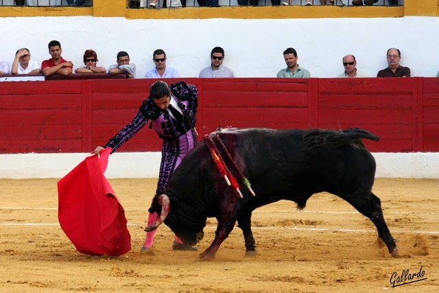 Tauromaquia al hilo.