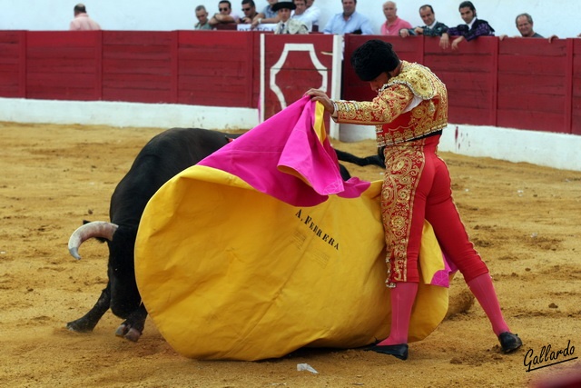 Antonio Ferrera lanceando de recibo.