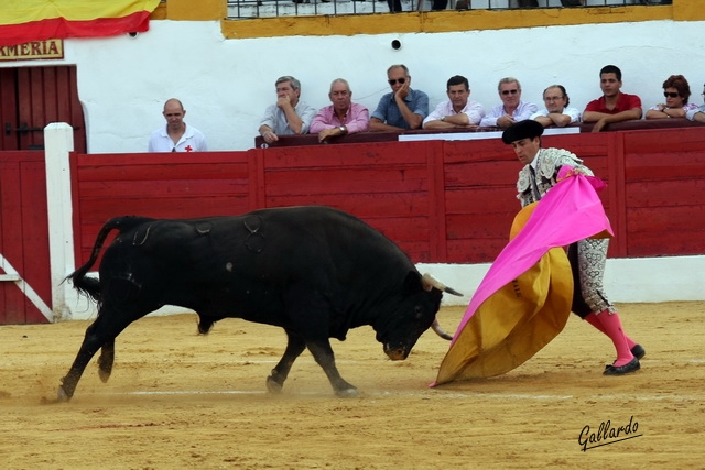 Fernando González enseñando a embestir al segundo.