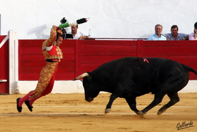 La bandera extremeña recorre el orbe taurino en las banderillas de Ferrera.