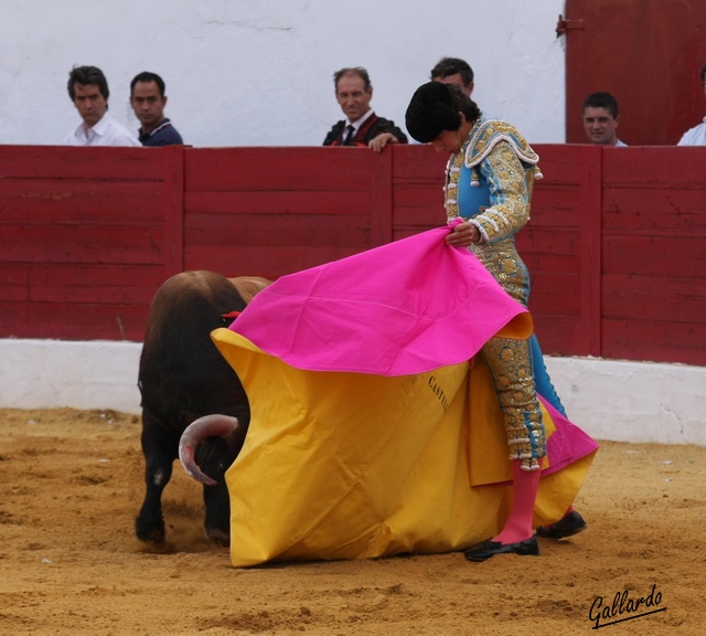 Castella veroniqueando al primero de su lote.