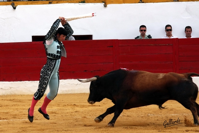 Javier Ambel gustándose en la ejecución de un par.