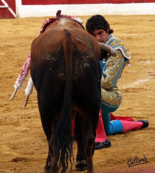 El valor seco de Castella.