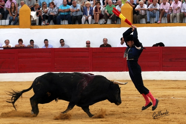 Asomándose al balcón.