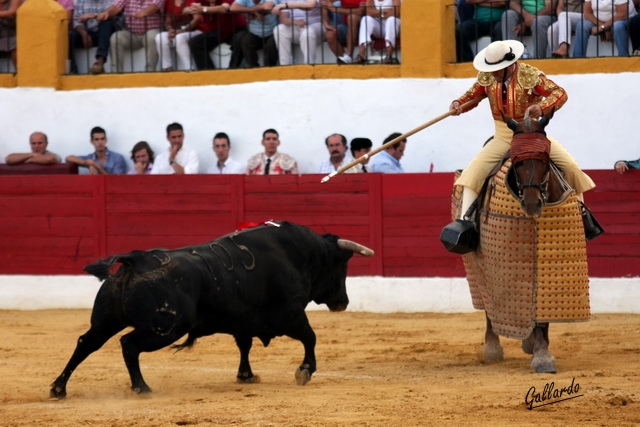 Arrancándose con ganas al caballo de Grilo.