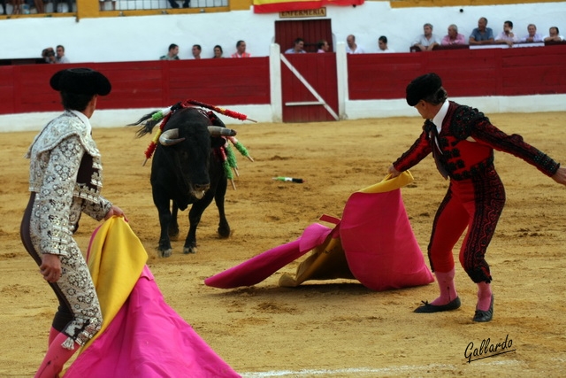 Tirando del toro a una mano, maniobra para cuidar al astado.