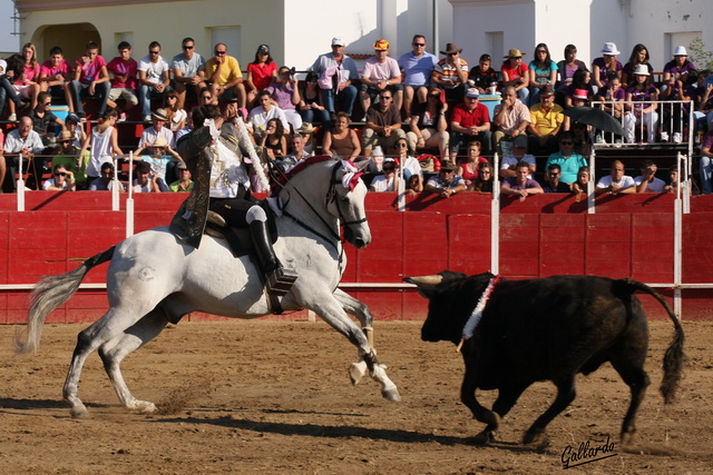 La buena doma se aprecia en que el caballo mira al toro. (FOTO:Gallardo)